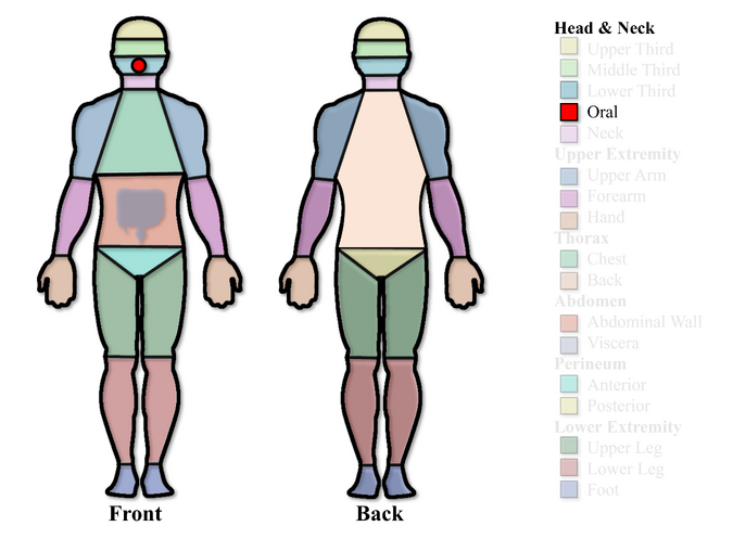 File:Oral Region.png
