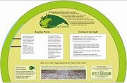 Living Green Display Interactive display promoting environmental consciousness