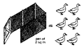Thumbnail for version as of 01:24, 6 January 2007