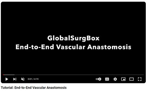 End-to-end vascular anastomosis demonstration from a GlobalSurgBox training tutorial