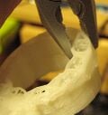 Removing support material.