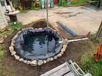 Image 14. Pond with all needed components, besides the fencing and solar aeration system.