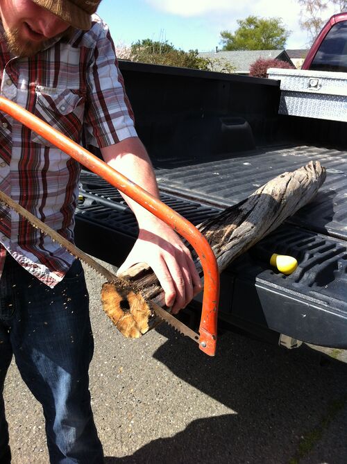 File:Driftwood Cut.JPG