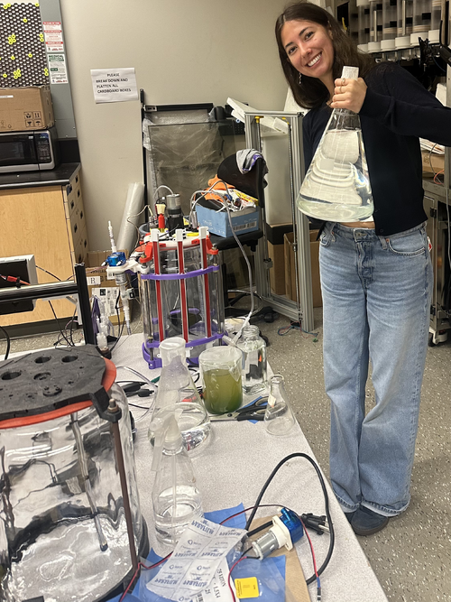 File:Lauraphotobioreactor.png