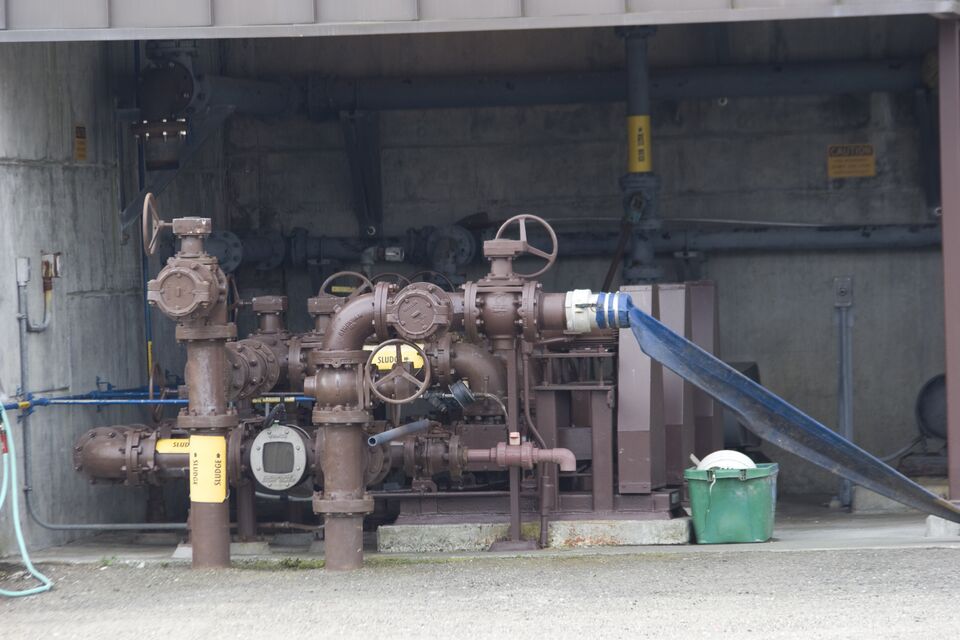 File:Arcata-6939.jpg