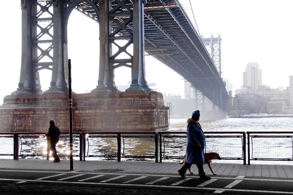 File:Jog, walk, dog.jpg