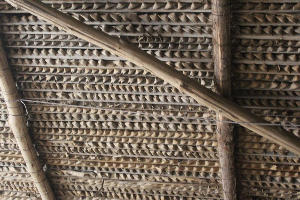 File:Thatch1.JPG