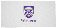 Western University Homepage.png