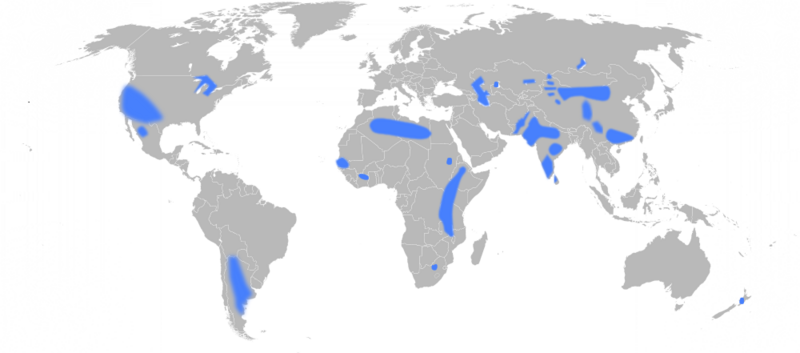 File:1000px-Groundwater-fluoride-world svg.png
