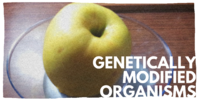 Genetically modified organisms issues gallery.png