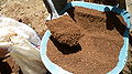imagen 1j: mezclando la tierra/barro con arena previamente cernida
