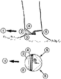 Thumbnail for version as of 01:26, 6 January 2007