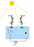 Thumbnail for version as of 12:38, 18 May 2010