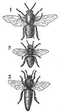 Thumbnail for version as of 01:23, 6 January 2007