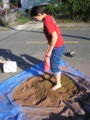 Amber, a helper from our class, is mixing the finish layer of cob for the top