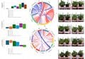 Agrivoltaic Lettuce Production Under Future Climates: A Sustainable Strategy for Optimizing Food and Energy Yields
