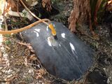The toilet flushes into a biodigester bag. In the bag the waste is digested into compost, and methane is produced.