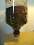 3.Assembled Filter