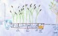 Thumbnail for version as of 21:17, 6 May 2007