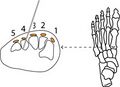Thumbnail for version as of 18:08, 27 October 2022