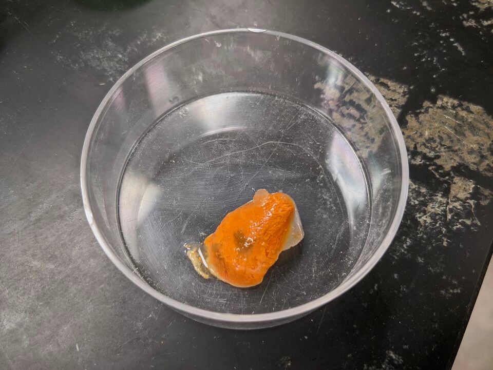 File:MOST FrozenSample.jpg