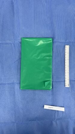 Apron, view 1