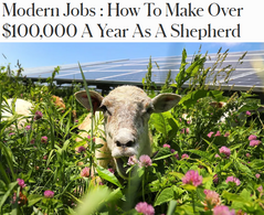 Modern Jobs : How To Make Over $100,000 A Year As A Shepherd , 羊飼いが年収1000万円以上稼ぐ時代：ソーラーファームが生み出す高収益職