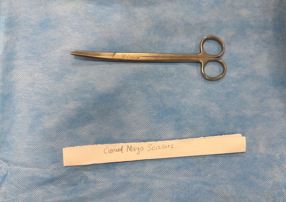 File:Curved Mayo Scissors.jpg