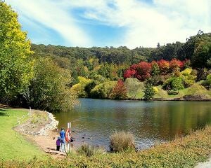 Mt Lofty Botanic Garden Lake.jpg
