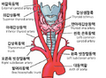 Thumbnail for version as of 14:42, 18 March 2026