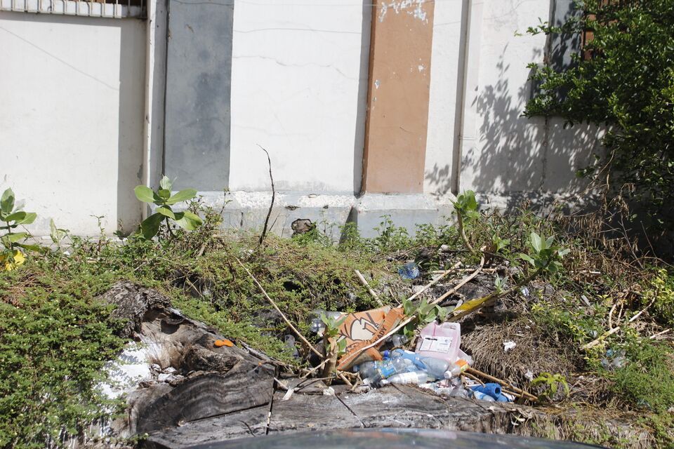 File:MIGUELEÑOS EN ACCIÓN 3.jpg