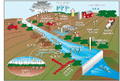 Thumbnail for version as of 12:19, 4 October 2007