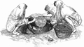 Thumbnail for version as of 16:24, 5 June 2025