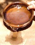 Fig. 4 Pour Larvae In Dry Place