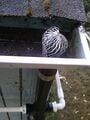 Top of first flush.