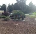 This is the garden originally. The garden was overgrown and the students had beaten their own path through the garden.