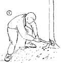 Thumbnail for version as of 01:26, 6 January 2007
