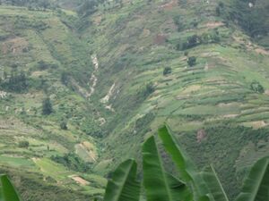 Haiti deforestation 4.jpg