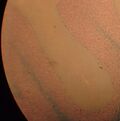 Fig. 4 This microscopic image was taken by mounting a digital camera to a microscope