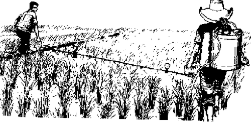 500px-P197.GIF