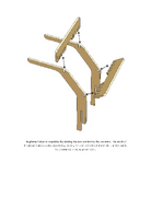 Phone holder assembled from two combs and two arms