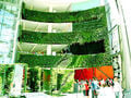 Large green wall on inside of building.