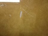 Flour Paint in Office, paint chipped away from wall damage