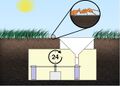 A Time-Sorting Pitfall Trap and Temperature Datalogger for the Sampling of Surface-Active Arthropods