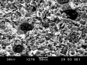 Scanning Electron Microscope image of the pores in a 50/50 by volume clay-sawdust ceramic filter. The larger pores were likely left over from burnt off sawdust, while the smaller ones are likely pores between sintered clay crystals.