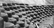 250px-Earthship3.jpg