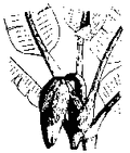 Thumbnail for version as of 01:24, 6 January 2007