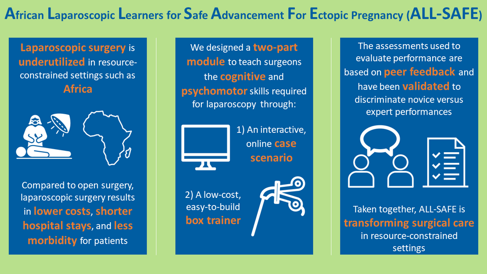 File:All-safe visual abstract.png