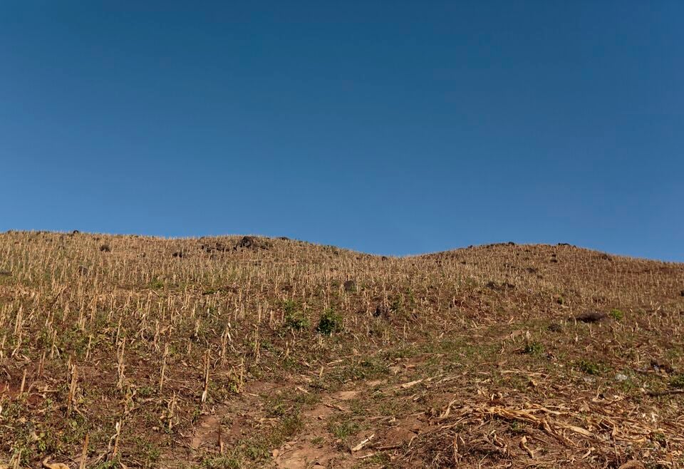 File:Canícula.jpg