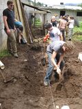Alex of IRRI directs some hardworking student volunteers.